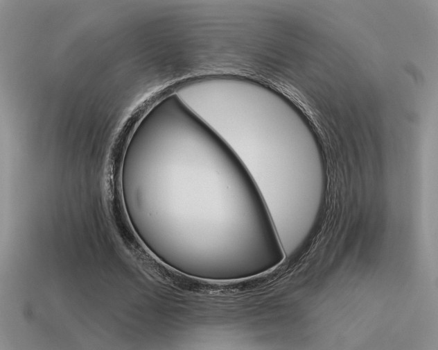 X0000115550680200911061127