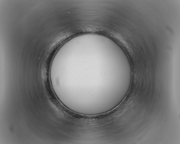 X0000115550683200911061127