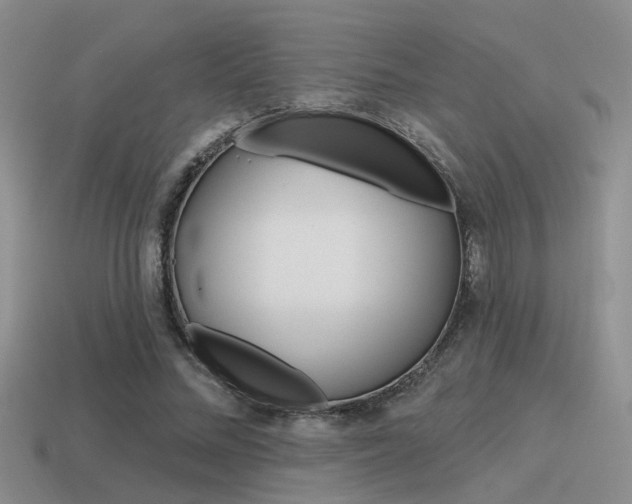X0000115550684200911061127