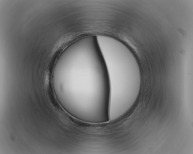 X0000115550685200911061127