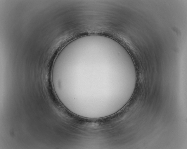 X0000115550687200911061127