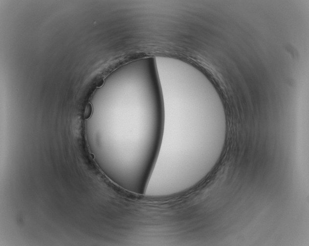 X0000115550689200911061127