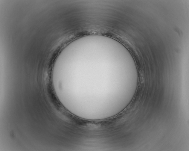 X0000115550690200911061127