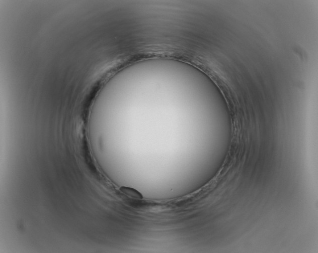 X0000115550692200911061127