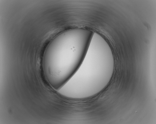 X0000115550693200911061127