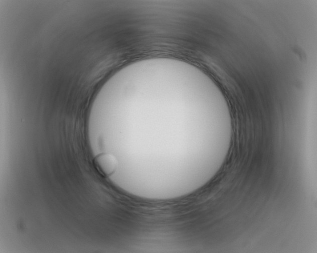 X0000115550696200911061127