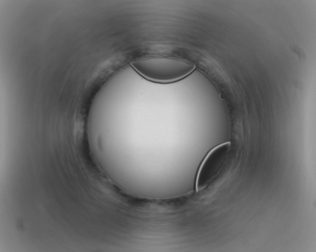 X0000115550697200911061127