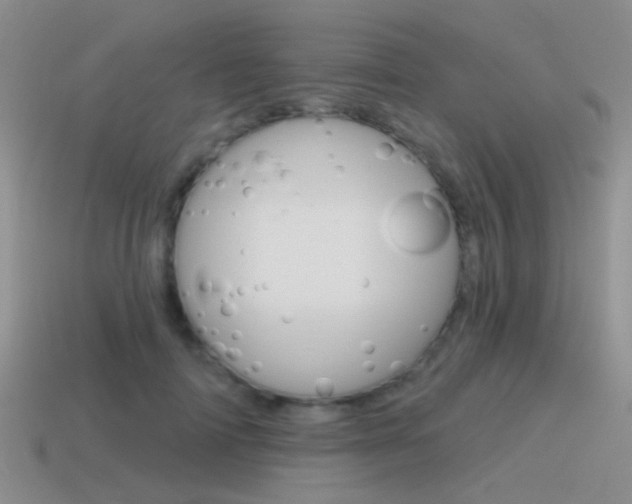 X0000115550698200911061127