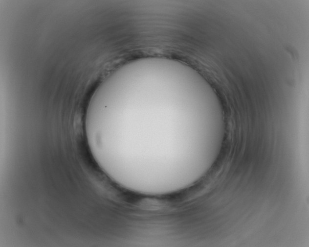 X0000115550699200911061127