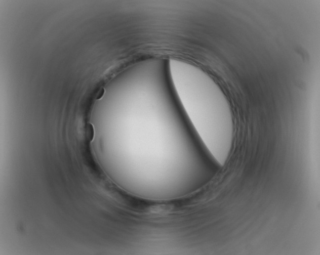 X0000115550700200911061127