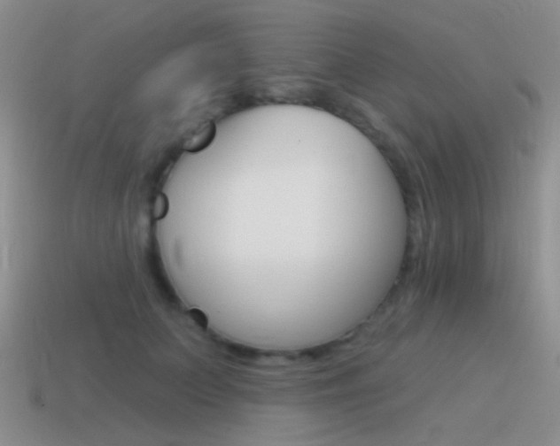 X0000115550703200911061127