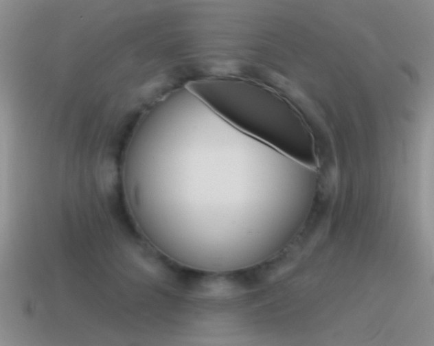 X0000115550704200911061127
