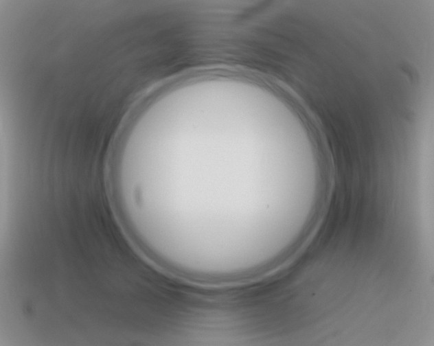X0000115550705200911061127
