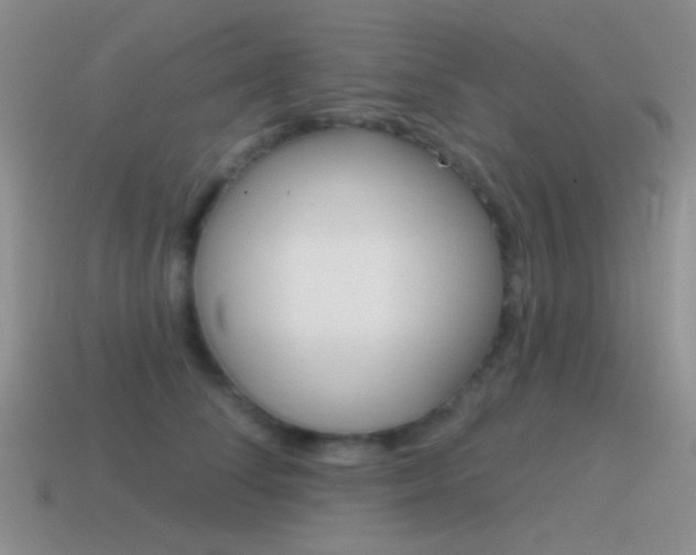 X0000115550708200911061127