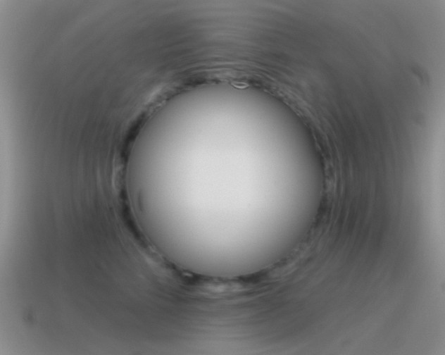 X0000115550712200911061127
