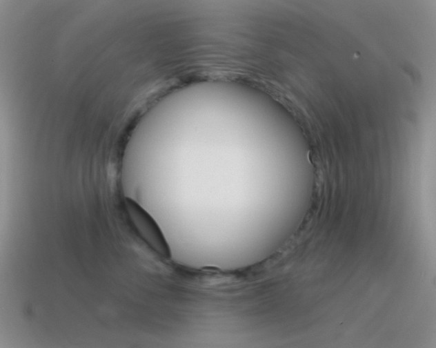 X0000115550716200911061127