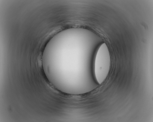 X0000115550719200911061127