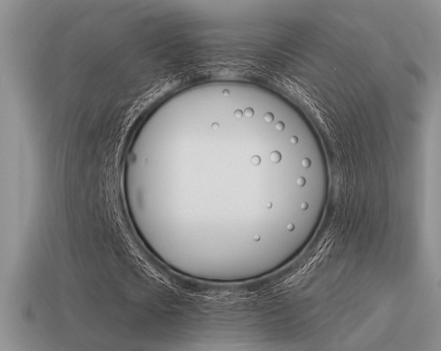X0000115550721200911061126