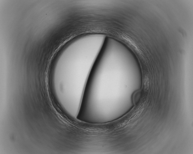 X0000115550722200911061126