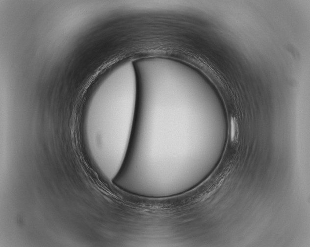 X0000115550723200911061126