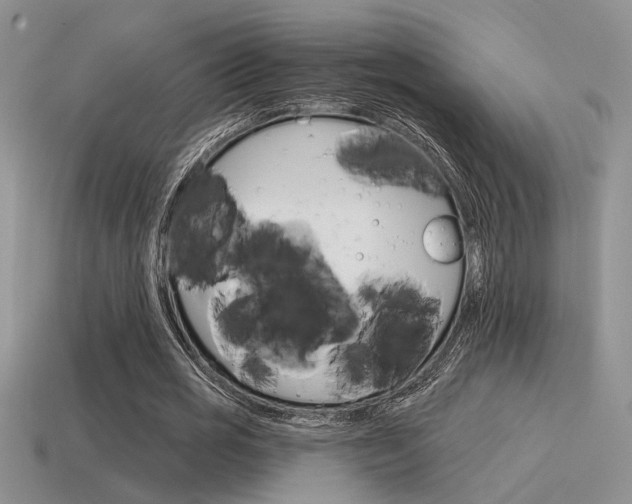 X0000115550725200911061126