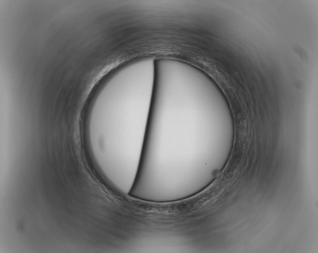 X0000115550727200911061126