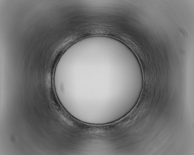 X0000115550729200911061126