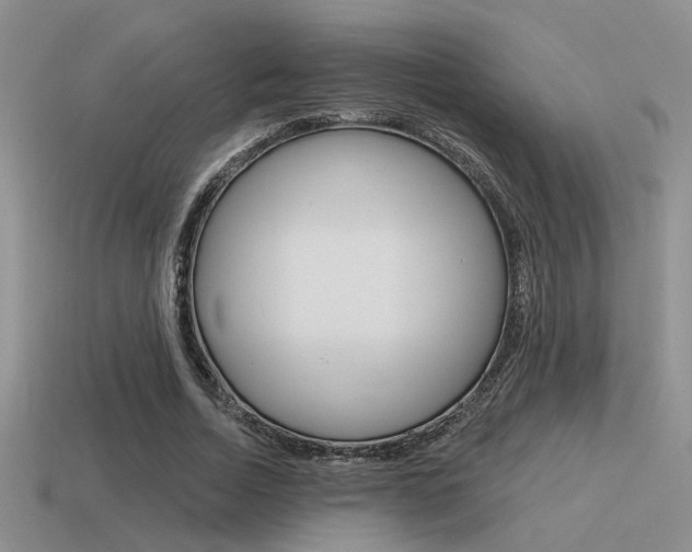 X0000115550730200911061126