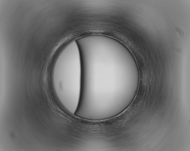 X0000115550731200911061126