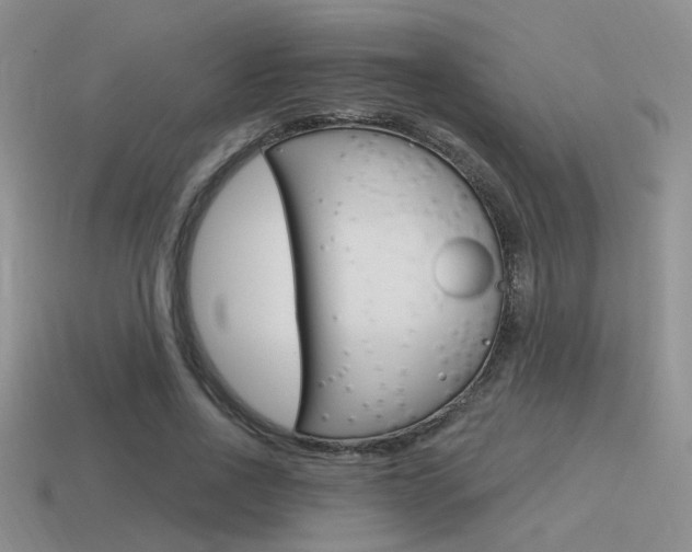 X0000115550734200911061126