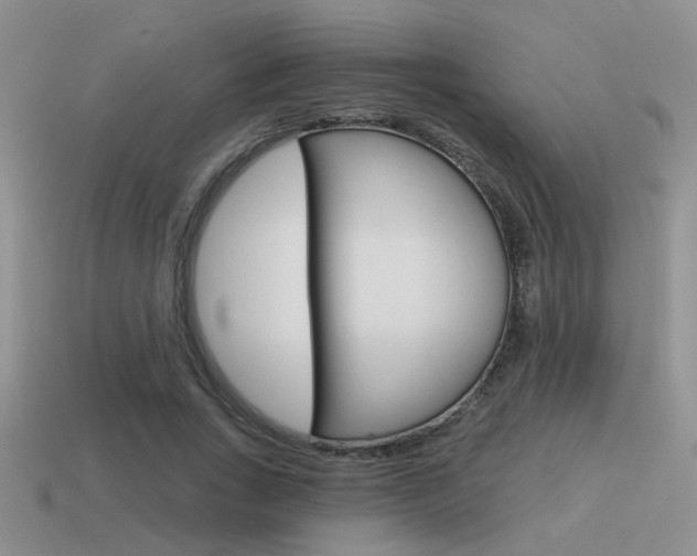 X0000115550735200911061126