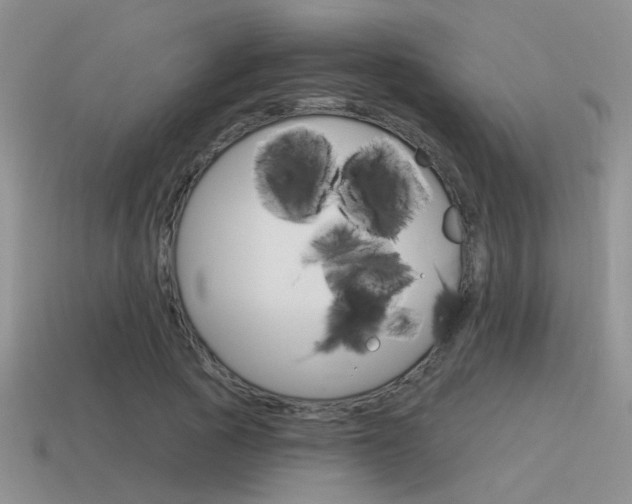 X0000115550737200911061126
