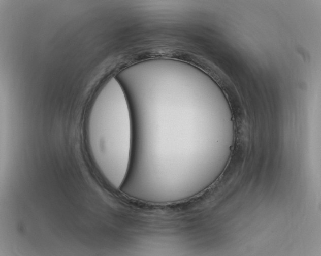 X0000115550738200911061126