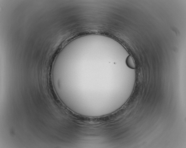 X0000115550739200911061126