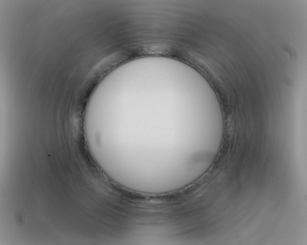 X0000115550741200911061126
