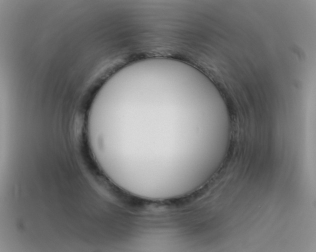 X0000115550742200911061126