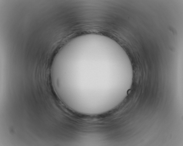 X0000115550747200911061126
