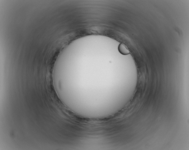 X0000115550749200911061126
