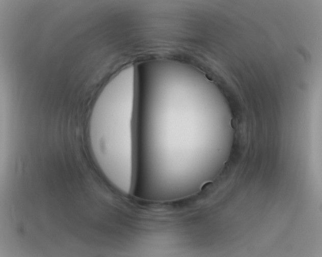 X0000115550750200911061126