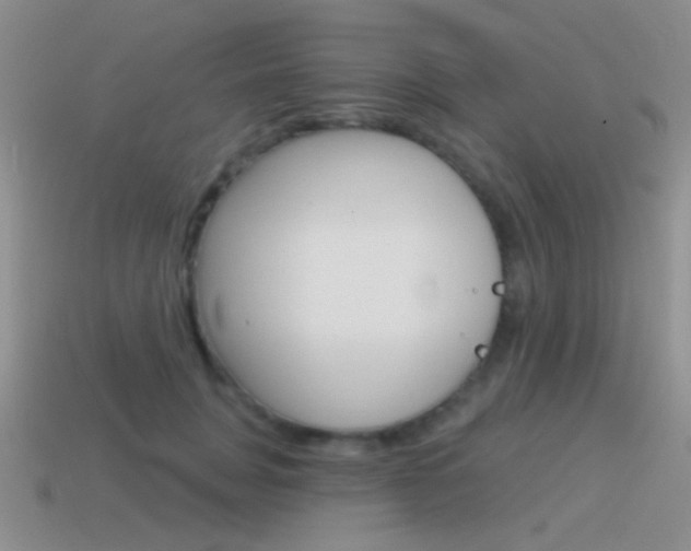 X0000115550751200911061126