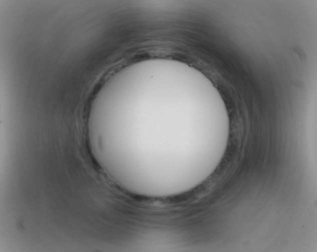 X0000115550755200911061126