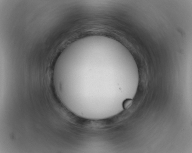 X0000115550758200911061127