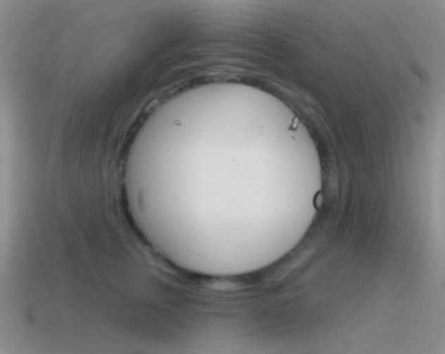 X0000115550759200911061127