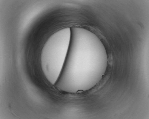 X0000115550763200911061127