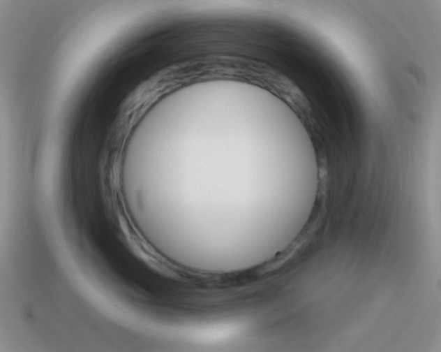 X0000115550765200911061127