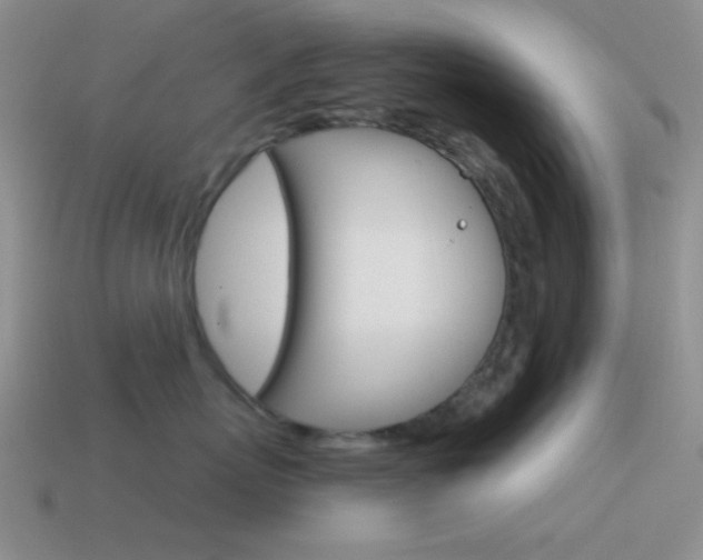 X0000115550767200911061127