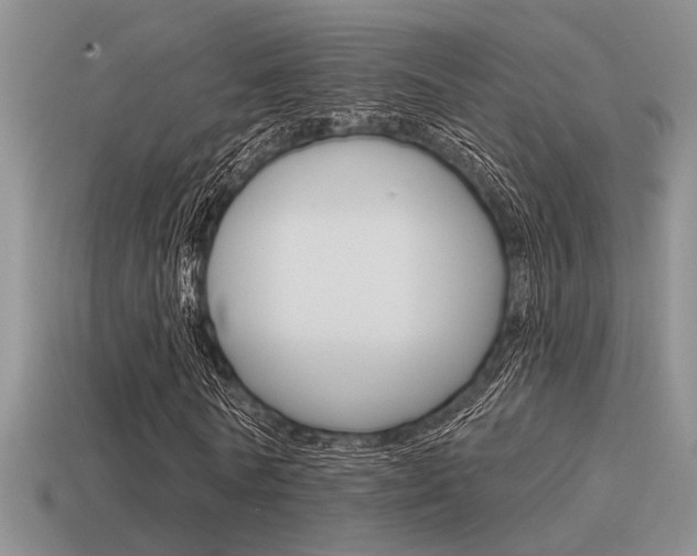 X0000115550770200911061126