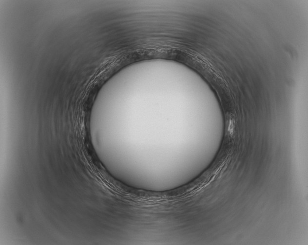 X0000115550771200911061126