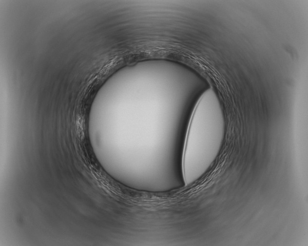 X0000115550772200911061126