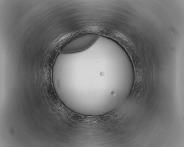 X0000115550773200911061126
